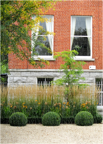 Dartry Garden